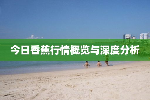 今日香蕉行情概览与深度分析