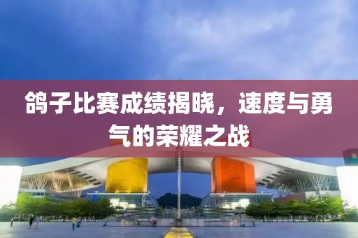 鸽子比赛成绩揭晓，速度与勇气的荣耀之战