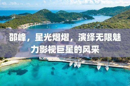 邵峰，星光熠熠，演绎无限魅力影视巨星的风采