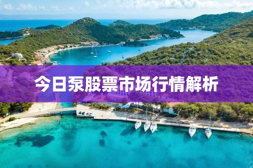 今日泵股票市场行情解析
