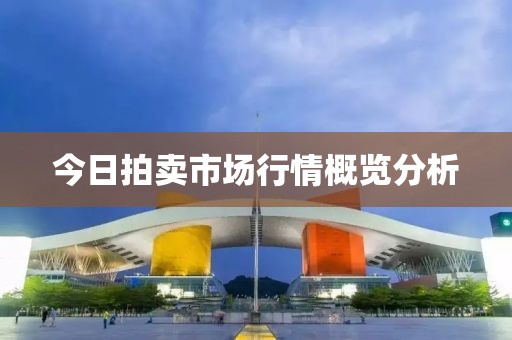 今日拍卖市场行情概览分析