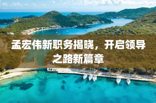 孟宏伟新职务揭晓，开启领导之路新篇章