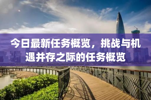 今日最新任务概览，挑战与机遇并存之际的任务概览