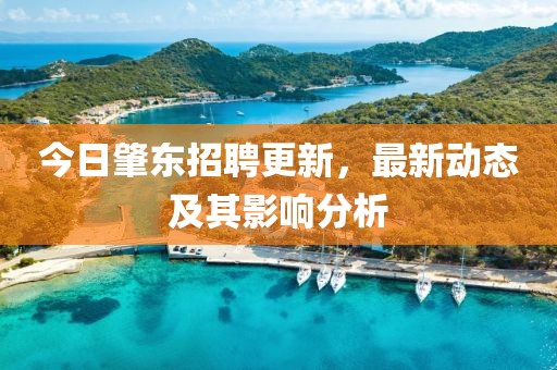 今日肇东招聘更新，最新动态及其影响分析