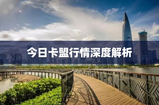 今日卡盟行情深度解析