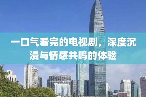 一口气看完的电视剧，深度沉浸与情感共鸣的体验