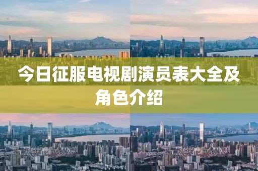 今日征服电视剧演员表大全及角色介绍
