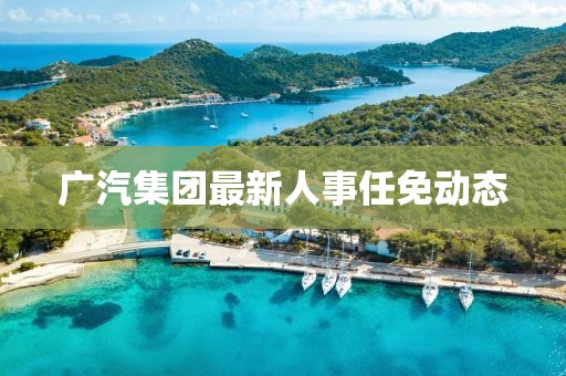 广汽集团最新人事任免动态