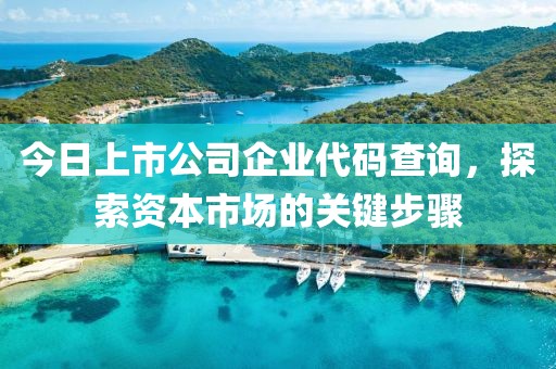 宠姬 第2页