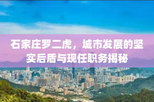 石家庄罗二虎，城市发展的坚实后盾与现任职务揭秘