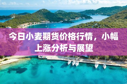 今日小麦期货价格行情，小幅上涨分析与展望