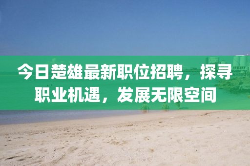 今日楚雄最新职位招聘，探寻职业机遇，发展无限空间