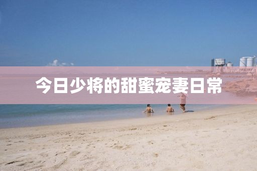 宾斯乔 第2页