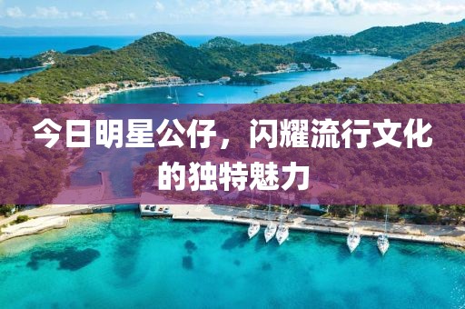 今日明星公仔，闪耀流行文化的独特魅力