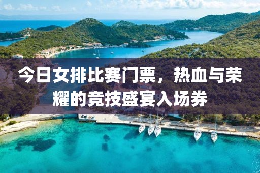 今日女排比赛门票，热血与荣耀的竞技盛宴入场券