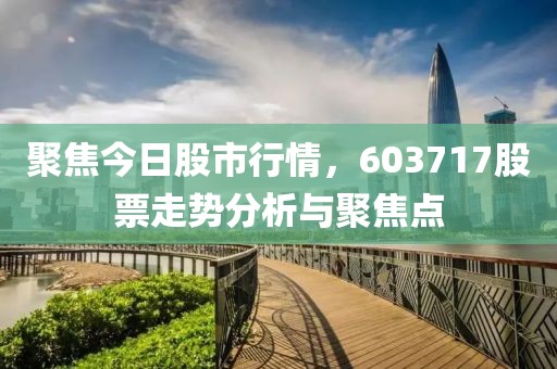 聚焦今日股市行情，603717股票走势分析与聚焦点
