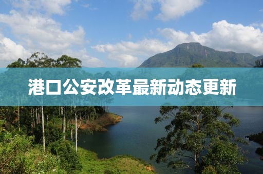 港口公安改革最新动态更新