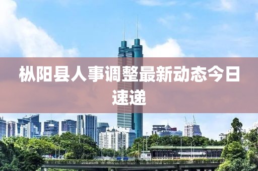 枞阳县人事调整最新动态今日速递