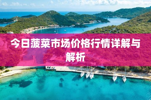 今日菠菜市场价格行情详解与解析