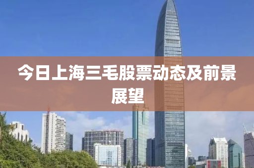 今日上海三毛股票动态及前景展望