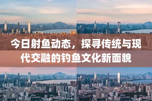今日射鱼动态，探寻传统与现代交融的钓鱼文化新面貌
