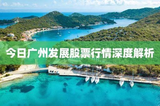 今日广州发展股票行情深度解析