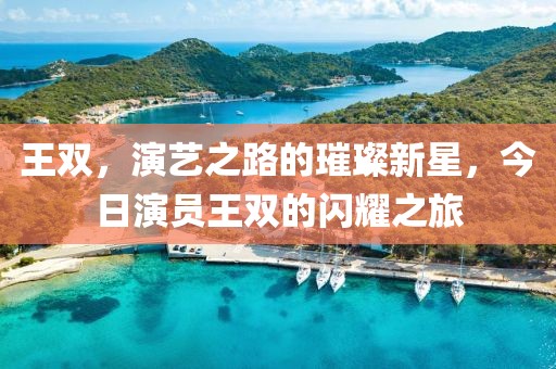 王双，演艺之路的璀璨新星，今日演员王双的闪耀之旅