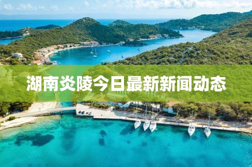 湖南炎陵今日最新新闻动态