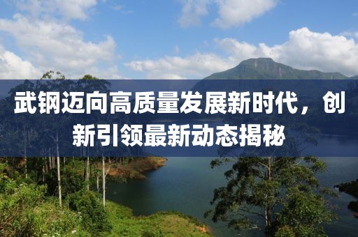 武钢迈向高质量发展新时代，创新引领最新动态揭秘