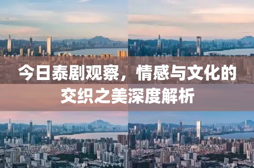 今日泰剧观察，情感与文化的交织之美深度解析