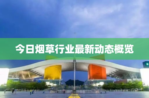 今日烟草行业最新动态概览
