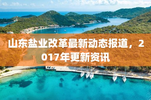 山东盐业改革最新动态报道，2017年更新资讯