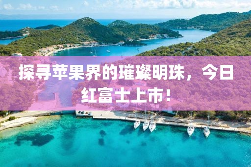 探寻苹果界的璀璨明珠，今日红富士上市！