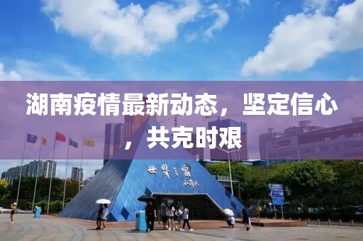 湖南疫情最新动态，坚定信心，共克时艰
