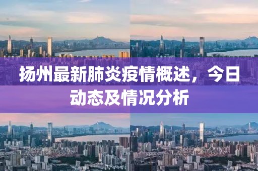扬州最新肺炎疫情概述，今日动态及情况分析
