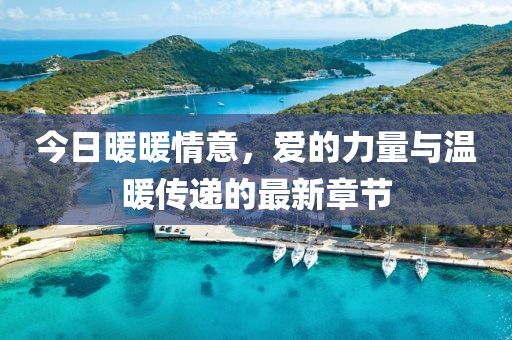 今日暖暖情意，爱的力量与温暖传递的最新章节