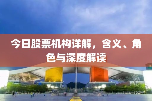 今日股票机构详解，含义、角色与深度解读