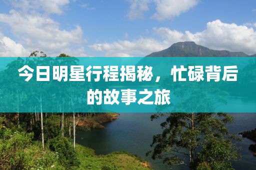 今日明星行程揭秘，忙碌背后的故事之旅