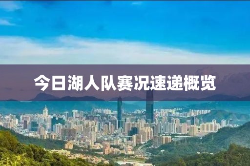 今日湖人队赛况速递概览