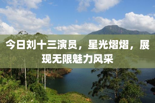 今日刘十三演员，星光熠熠，展现无限魅力风采