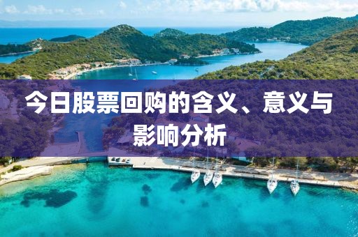 今日股票回购的含义、意义与影响分析