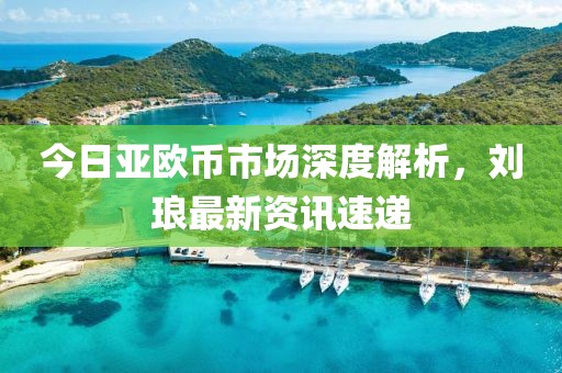 今日亚欧币市场深度解析，刘琅最新资讯速递
