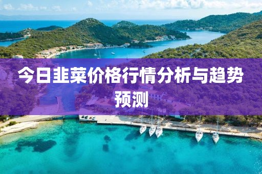 今日韭菜价格行情分析与趋势预测