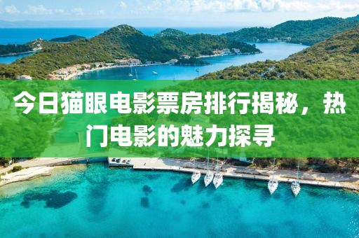 今日猫眼电影票房排行揭秘，热门电影的魅力探寻