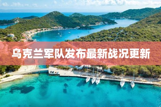 莫雨琴 第2页