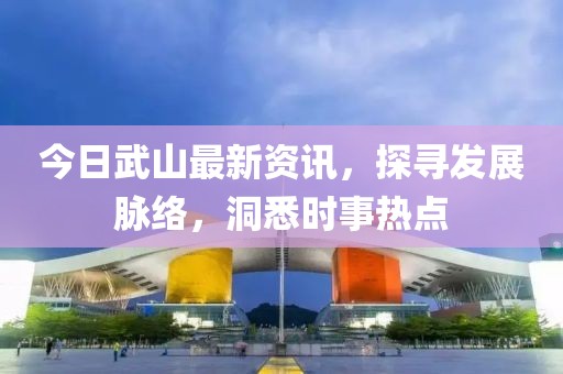 今日武山最新资讯，探寻发展脉络，洞悉时事热点