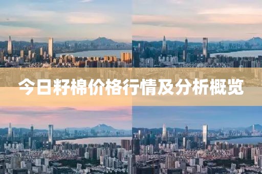 今日籽棉价格行情及分析概览