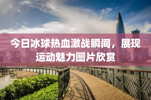 今日冰球热血激战瞬间，展现运动魅力图片欣赏
