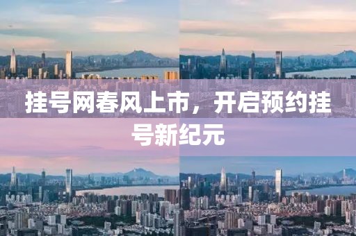挂号网春风上市，开启预约挂号新纪元