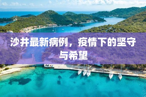 沙井最新病例，疫情下的坚守与希望